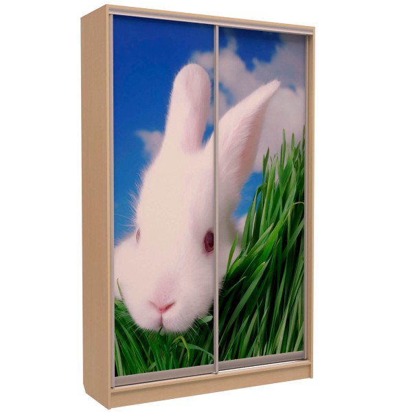 Шафа-купе «ШН-126» Фотодрук/Фотодрук