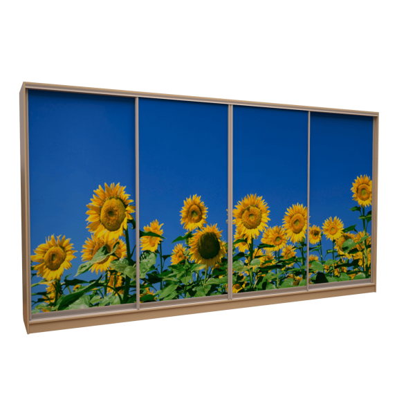 Шафа-купе «ШН-356» Фотодрук/Фотодрук/Фотодрук/Фотодрук