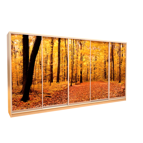 Шафа-купе «ШН-506» Фотодрук/Фотодрук/Фотодрук/Фотодрук/Фотодрук